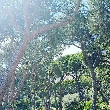 Appartement La Pinede Ajaccio (Corsica)